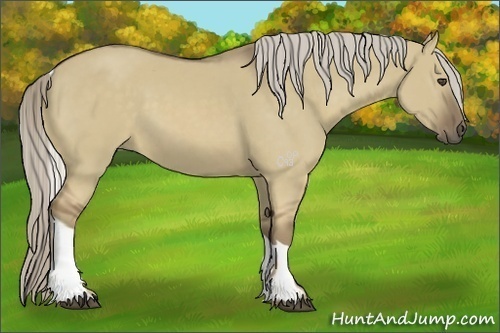 Horse Color:Chocolate Palomino Dun Tobiano