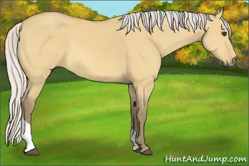 Horse Color:Silver Buckskin Dun Tobiano 