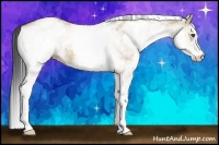 Horse Color:White Spotted Bay Dun