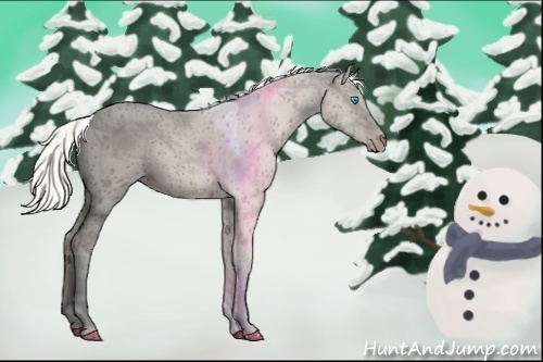 Horse Color:Silver Perlino Dun Tobiano 