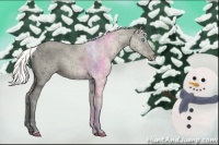 Horse Color:Silver Perlino Dun Tobiano