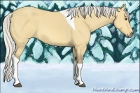 Horse Color:Silver Buckskin Dun Tobiano 