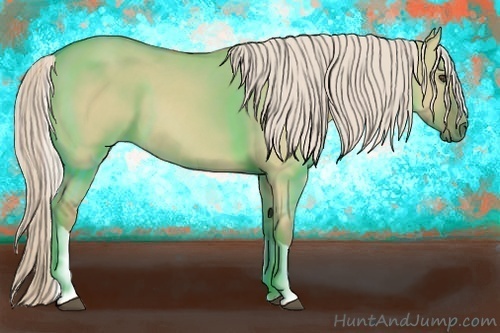 Horse Color:Palomino Dun Tobiano 
