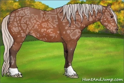 Horse Color:Silver Bay Ice