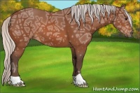 Horse Color:Silver Bay Ice