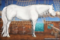 Horse Color:Cremello Dun 