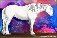Horse Color:Silver Smoky Creme Dun 
