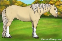 Horse Color:Palomino Dun 