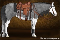 Horse Color:Blue Roan Splash 