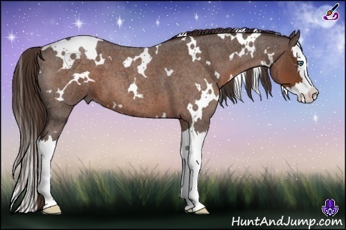 Horse Color:White Spotted Liver Red Roan Splash 