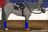 Horse Color:Smoky Grullo