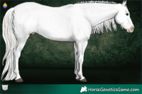 Horse Color:Watercolor Silver Bay Splash Tobiano Appaloosa 