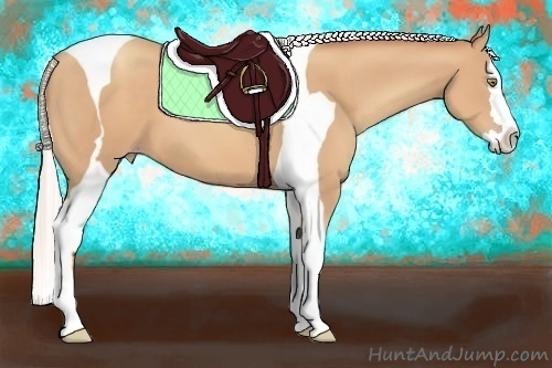 Horse Color:Silver Amber Champagne Splash Tobiano