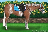 Horse Color:White Spotted Silver Bay Splash