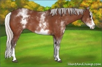Horse Color:White Spotted Silver Bay Splash 