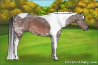 Horse Color:Bay Ice Tobiano 