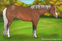 Horse Color:White Spotted Silver Bay Splash 
