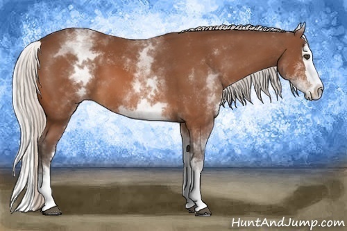 Horse Color:White Spotted Silver Bay Splash 