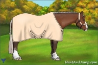 Horse Color:White Spotted Silver Bay Splash
