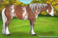 Horse Color:White Spotted Silver Bay Splash