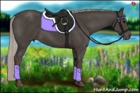 Horse Color:Silver Black 