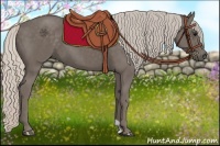 Horse Color:Silver Black Frame