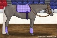 Horse Color:Silver Black 