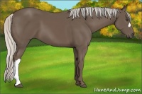 Horse Color:Silver Black 