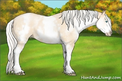 Horse Color:White Spotted Silver Buckskin Pearl Sabino 