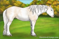 Horse Color:White Spotted Silver Buckskin Pearl Sabino