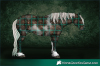 Horse Color:Plaid  Silver Brown Ice Tobiano 
