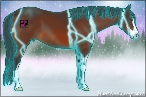Horse Color:Thunderstruck Bay Sabino