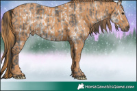 Horse Color:Black Ice Splash Brindle