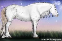 Horse Color:White Spotted Liver Chestnut 