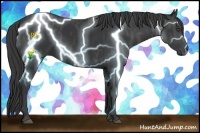 Horse Color:Black  Brindle