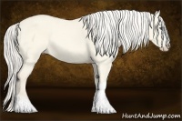 Horse Color:Cremello Dun 