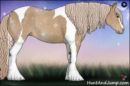 Horse Color:Palomino Sabino Tobiano