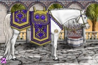 Horse Color:Smoky Creme Sabino Appaloosa 