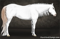 Horse Color:White Spotted Smoky Black Sabino Varnish
