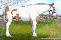 Horse Color:Silver Bay Splash Tobiano Frame