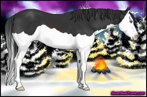 Horse Color:Brown Splash 