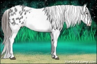 Horse Color:Blue Roan Varnish