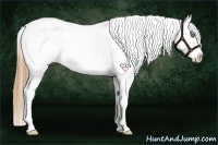 Horse Color:Bay Ice Roan Pearl Splash Appaloosa