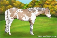 Horse Color:White Spotted Silver Black Pearl Sabino