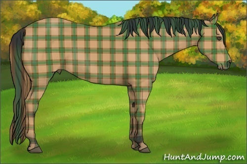 Horse Color:Plaid Bay