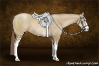 Horse Color:Grullo Pearl Sabino