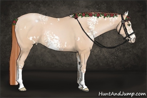 Horse Color:White Spotted Buckskin Pearl 