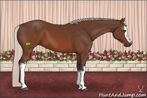 Horse Color:White Spotted Silver Brown 