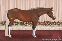 Horse Color:White Spotted Silver Brown