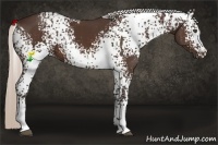 Horse Color:White Spotted Silver Brown